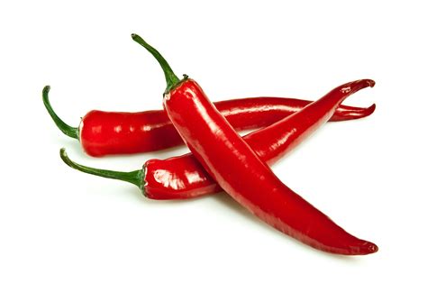 is chilli or chili